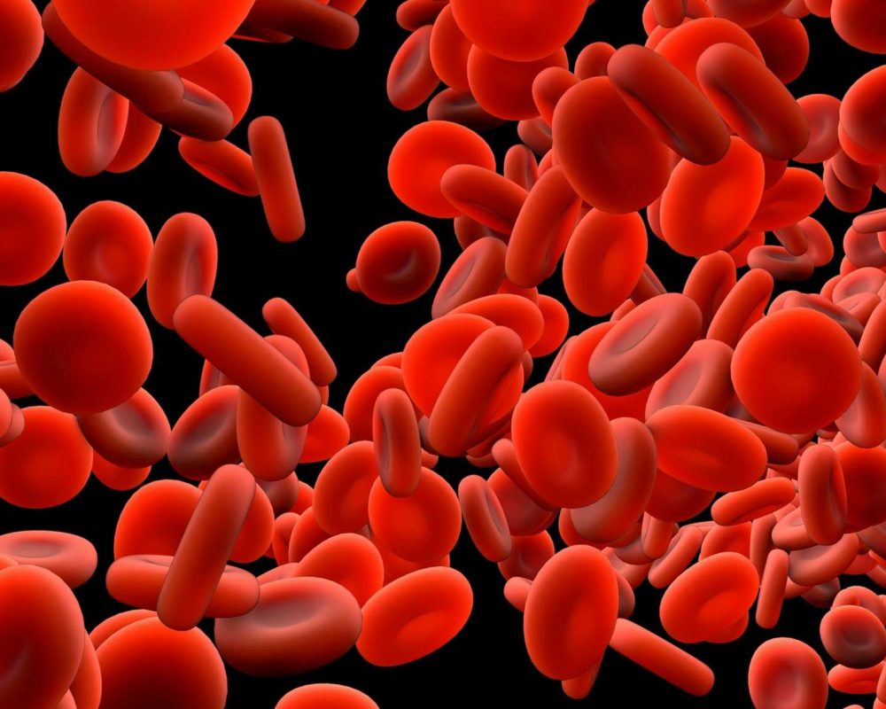 Plaquettes sanguine source de PRP (Plasma Riche en Plaquettes)